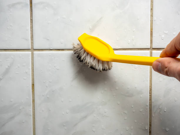 Best Residential Mold Remediation in Grangeville, ID