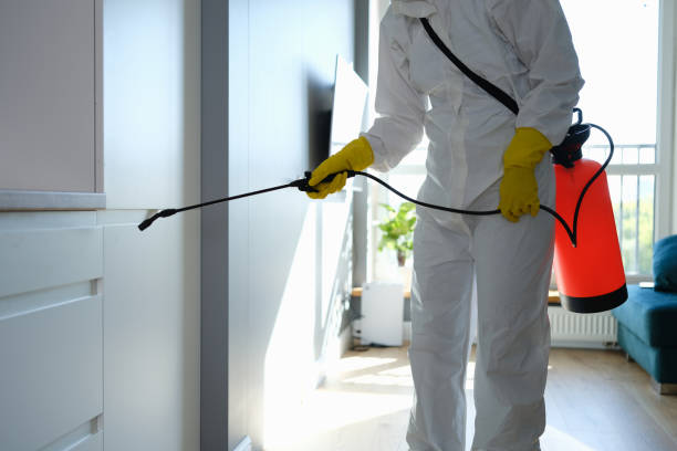 Best Industrial Mold Remediation in Grangeville, ID
